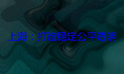 境明的营商环上海打造稳定公平透