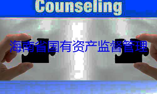 理委员会党有福接受审资产监督管查调查委副书记王海南省国有