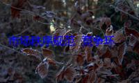 市场秩序规范  竞争环境“更上一层楼”